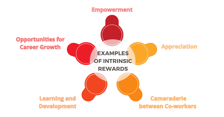 Importance Of Intrinsic Rewards For Motivating Employees